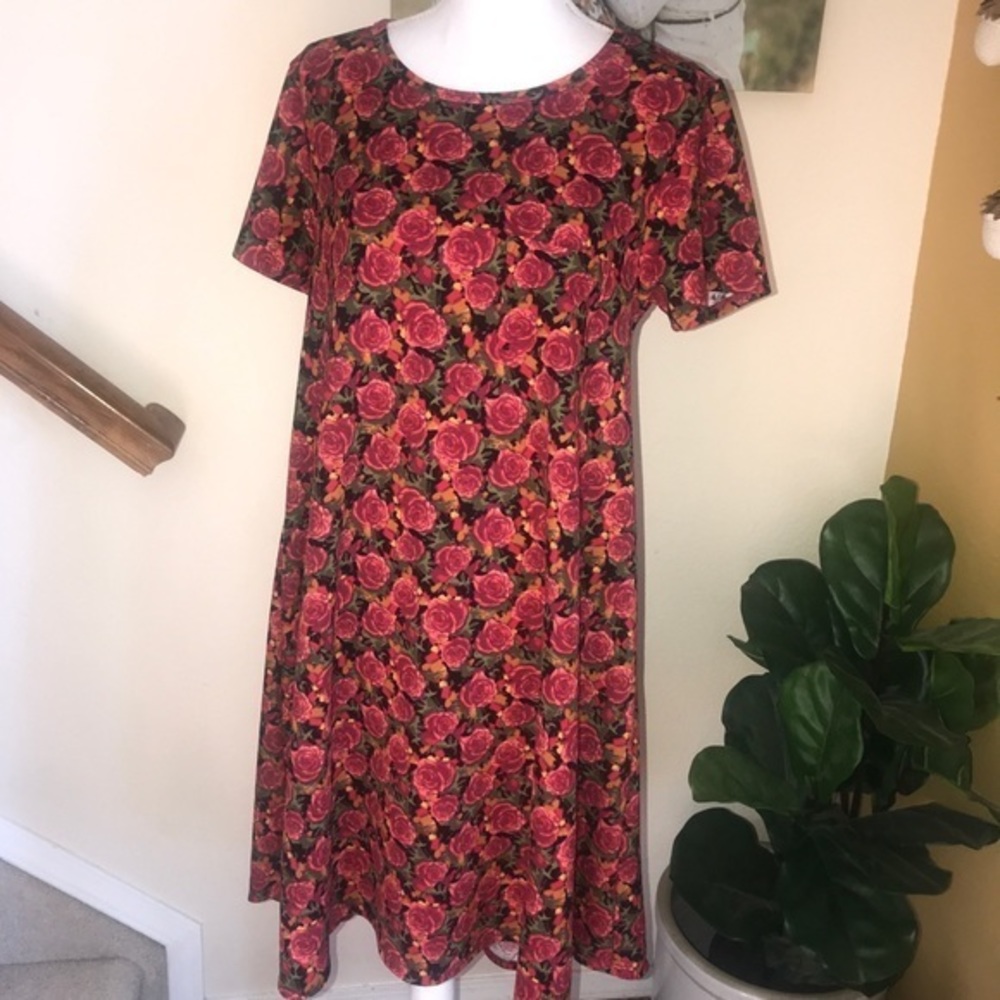 Lularoe Carly dress rose print textured size M‎
